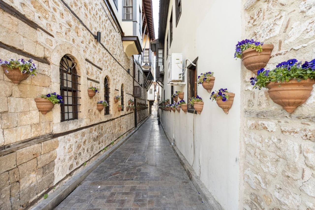 Cozy Studio Flat Near Hadrians Gate Daire